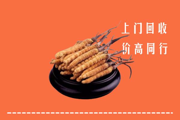 高价求购：安平县回收散虫草