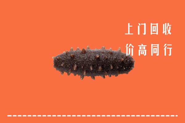安平县回收海参