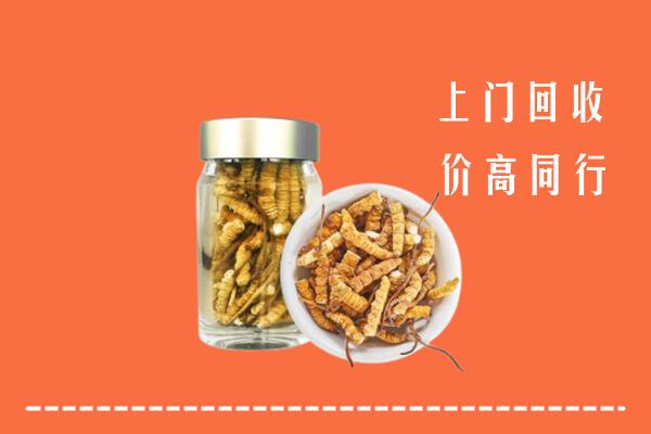 收购行情：安平县回收冬虫夏草